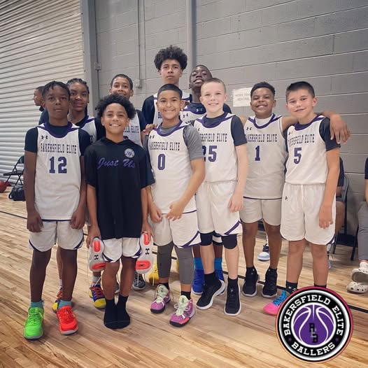 Typical activities carried out by NOVA TECHNOLOGY SERVICES UK LIMITED